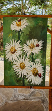 Учитај слику у приказивач галерије,Savanna daisy