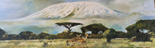 Load image into Gallery viewer, Kilimanjaro