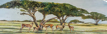 Учитај слику у приказивач галерије,Savanna dream