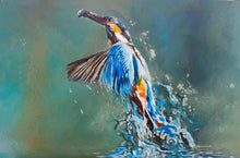 Load image into Gallery viewer, Kingfisher 4