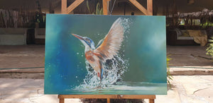 Kingfisher 1