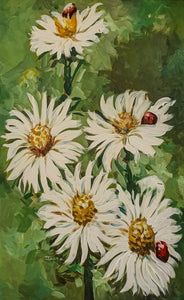 Savanna daisy