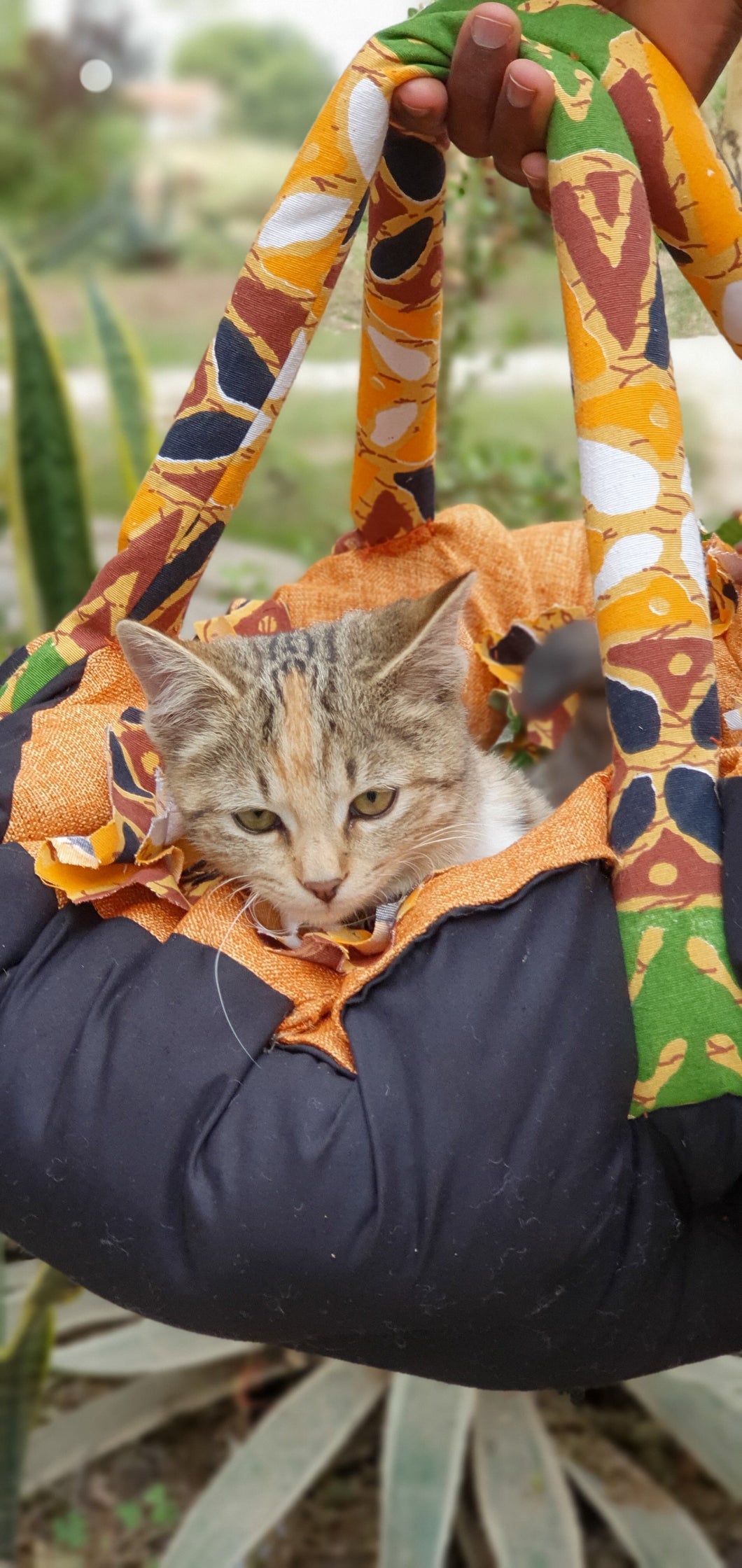 Portable pet bed