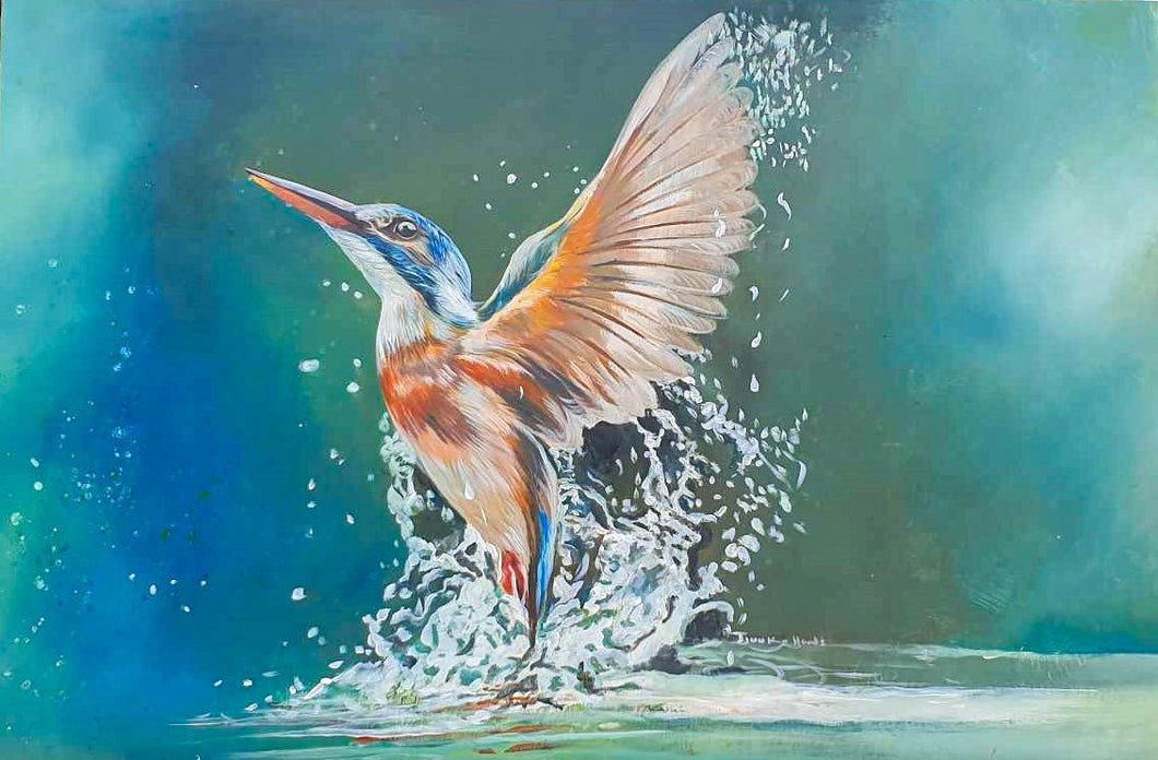 Kingfisher 1