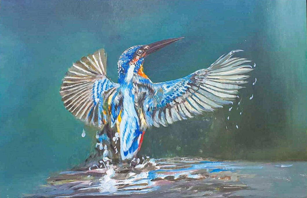 Kingfisher 3